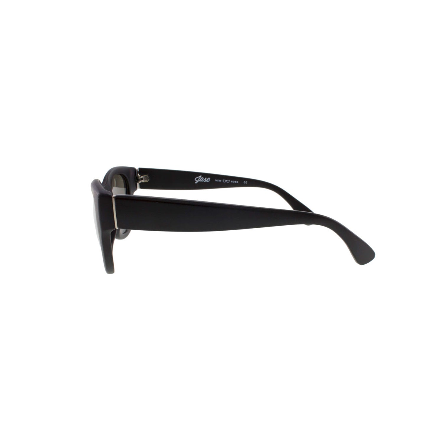 Jase New York Delano Sunglasses in Matte Black